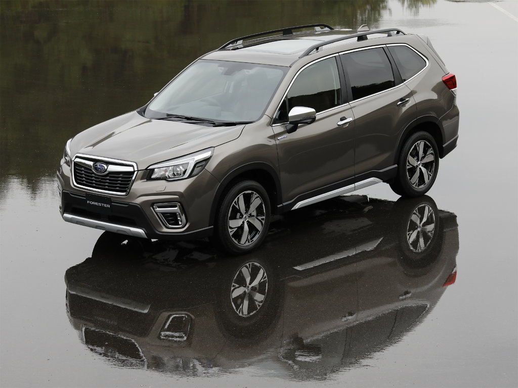 Forester11